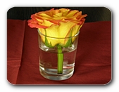 Rosenblüte im Glas