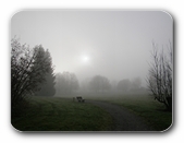 Nebel am Waldrand