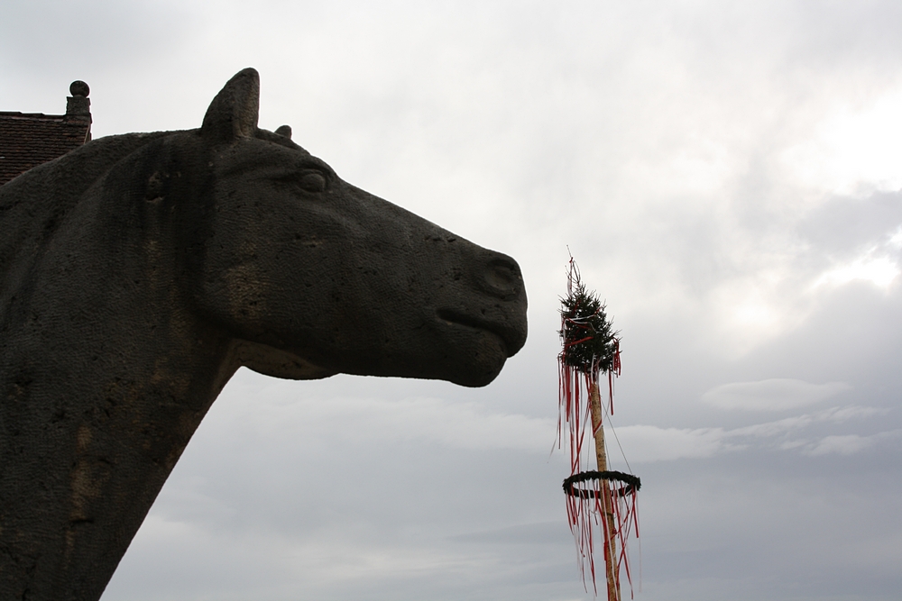 Maibaum mit Pferd des St. Martin